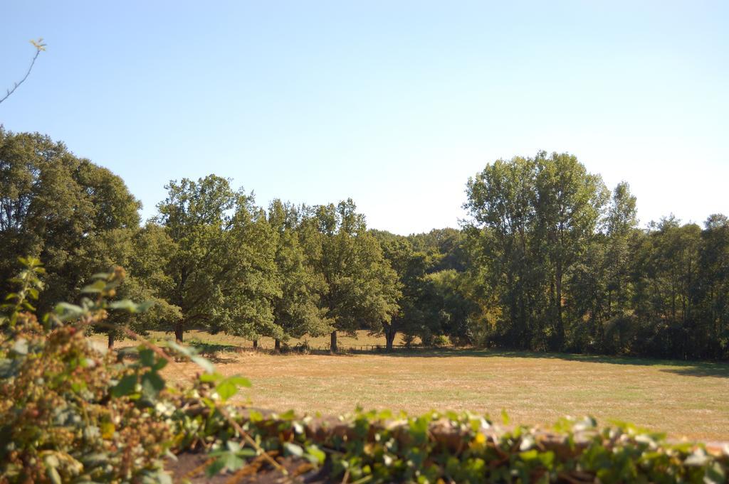 Gite Du Vieux Charme Villa Saint-Amand-en-Puisaye Bagian luar foto