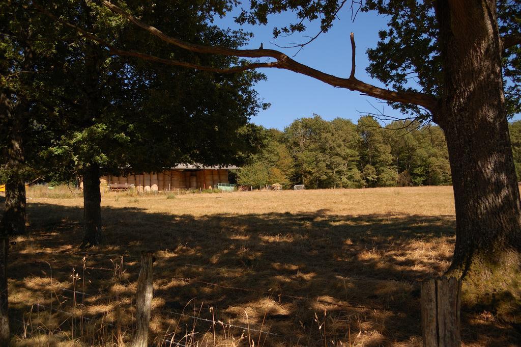 Gite Du Vieux Charme Villa Saint-Amand-en-Puisaye Bagian luar foto